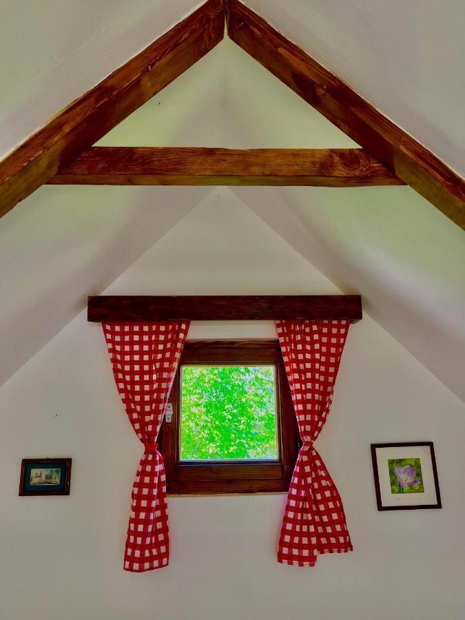 Vikendica,Bungalovi Lipska Pecina 采蒂涅 外观 照片
